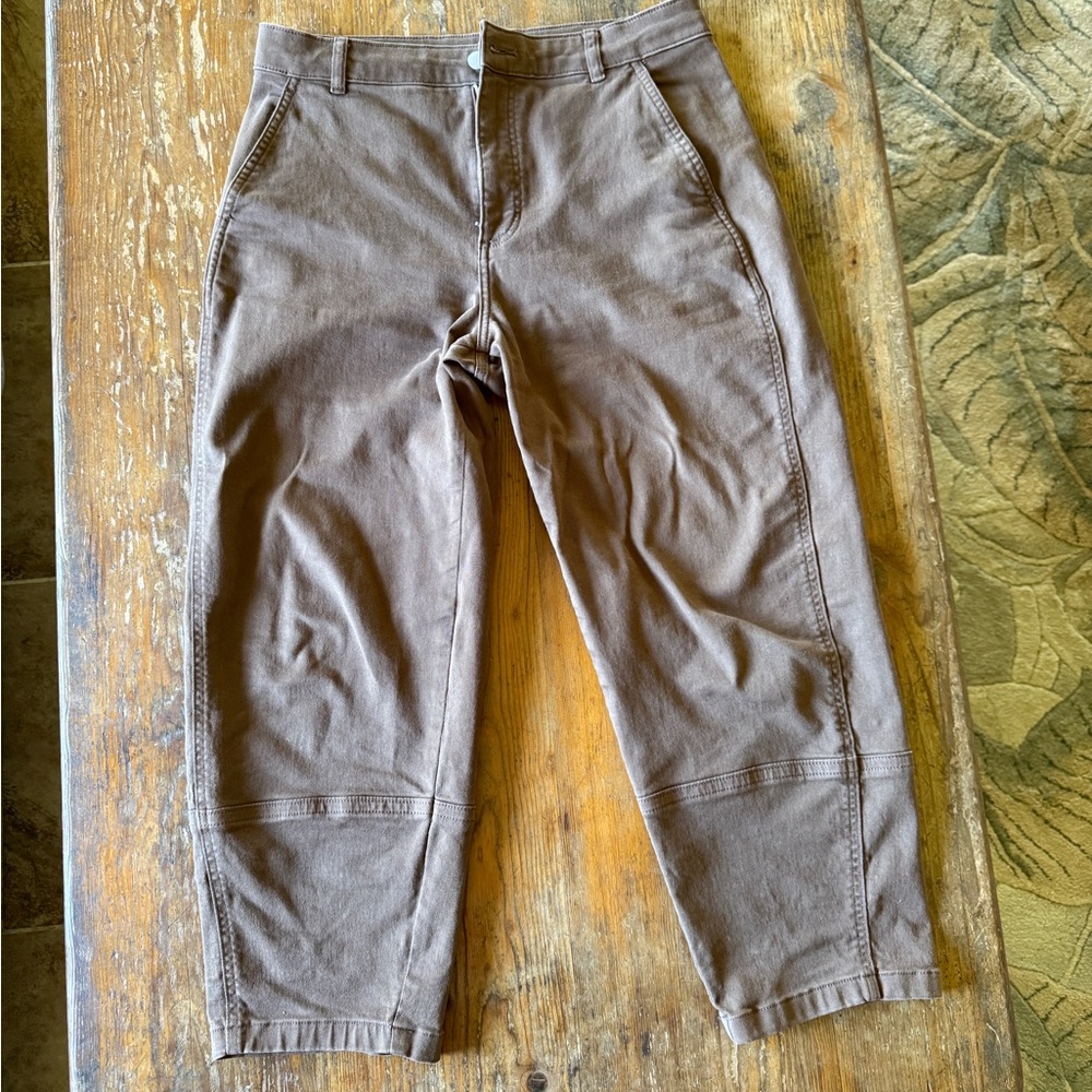 Everlane Utility Barrel Pant